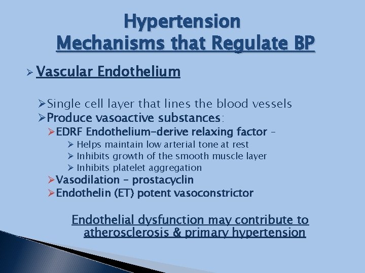 Hypertension Mechanisms that Regulate BP Ø Vascular Endothelium ØSingle cell layer that lines the