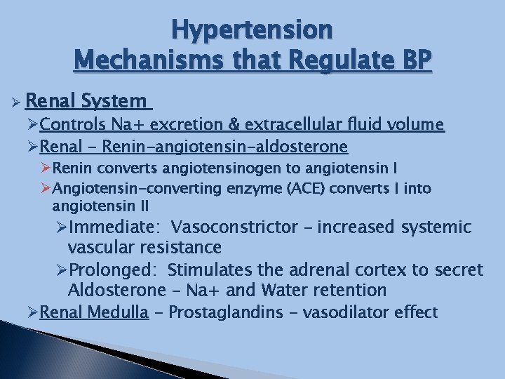 Hypertension Mechanisms that Regulate BP Ø Renal System ØControls Na+ excretion & extracellular fluid