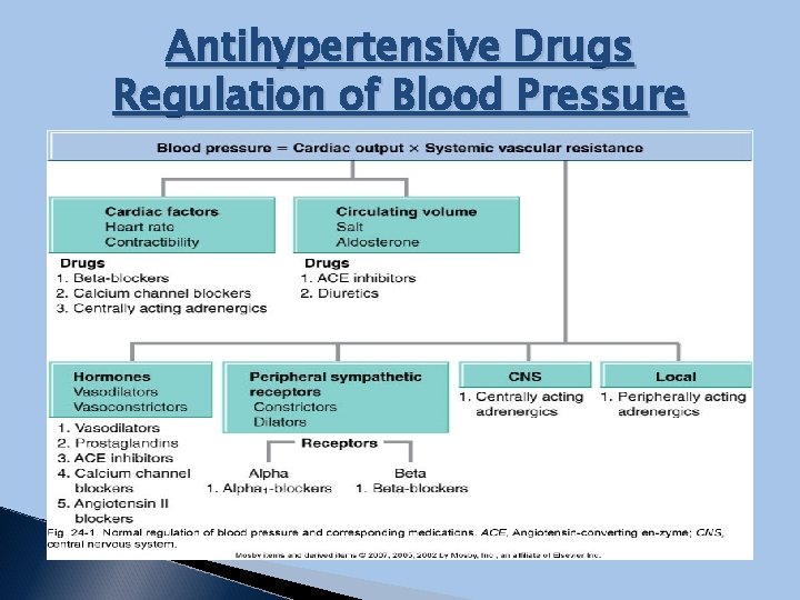 Antihypertensive Drugs Regulation of Blood Pressure 
