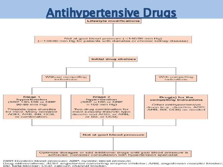 Antihypertensive Drugs 