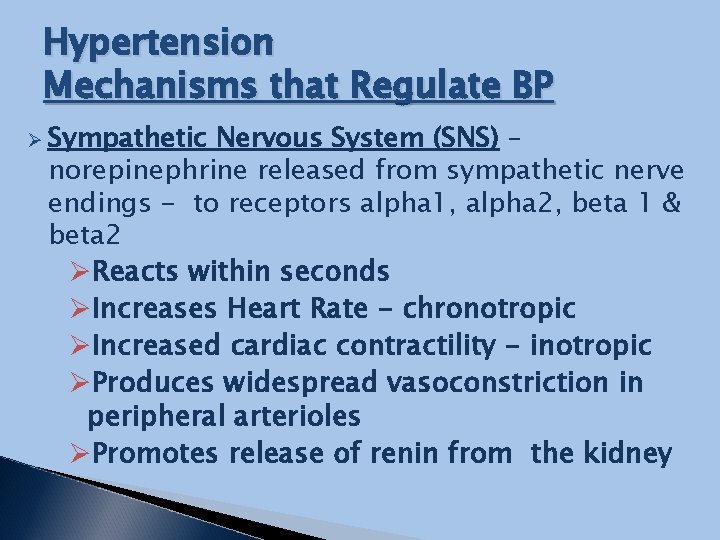 Hypertension Mechanisms that Regulate BP Ø Sympathetic Nervous System (SNS) – norepinephrine released from