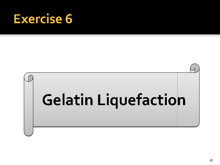 Exercise 6 Gelatin Liquefaction 16 