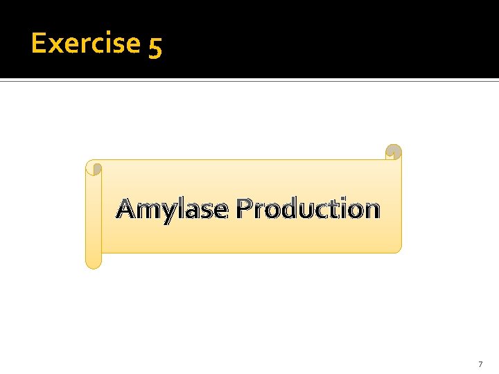 Exercise 5 Amylase Production 7 