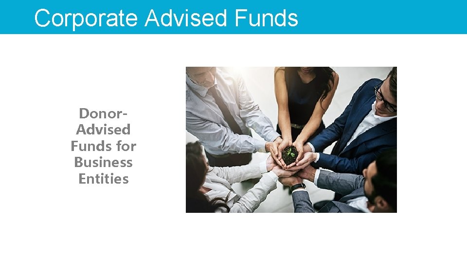 Corporate Advised Funds Donor. Advised Funds for Business Entities 