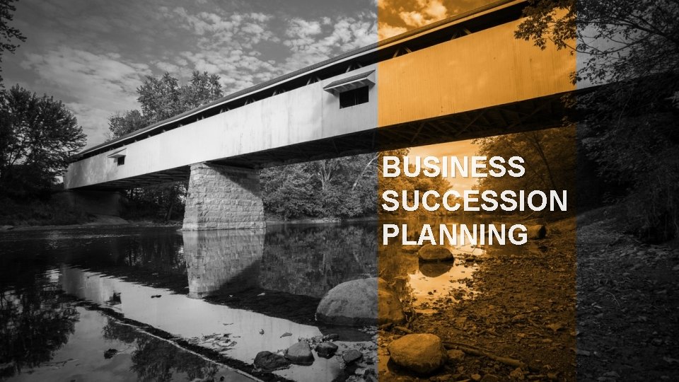 BUSINESS SUCCESSION PLANNING 
