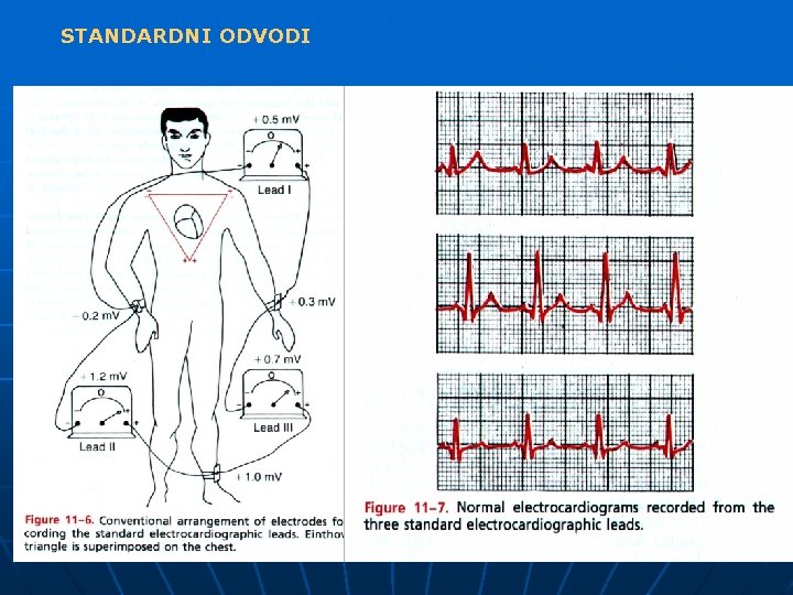 STANDARDNI ODVODI 