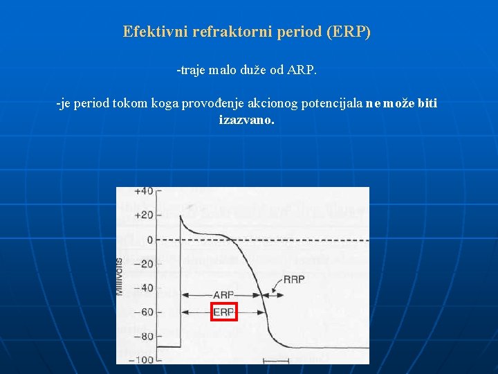 Efektivni refraktorni period (ERP) -traje malo duže od ARP. -je period tokom koga provođenje