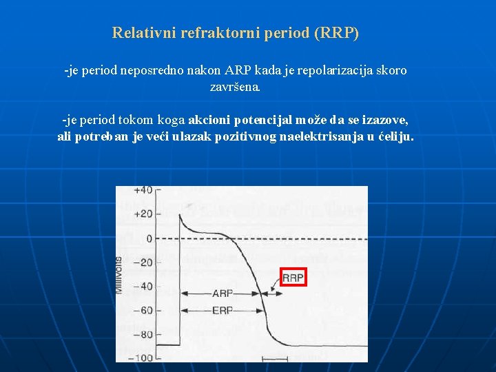 Relativni refraktorni period (RRP) -je period neposredno nakon ARP kada je repolarizacija skoro završena.