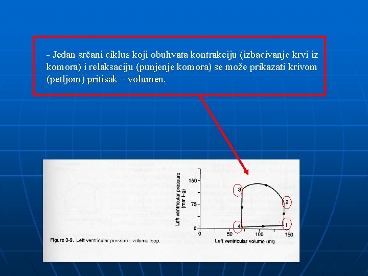 - Jedan srčani ciklus koji obuhvata kontrakciju (izbacivanje krvi iz komora) i relaksaciju (punjenje