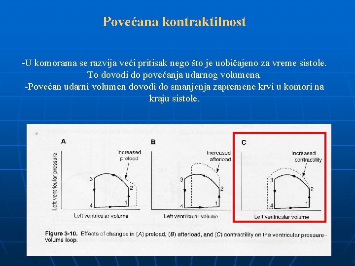 Povećana kontraktilnost -U komorama se razvija veći pritisak nego što je uobičajeno za vreme