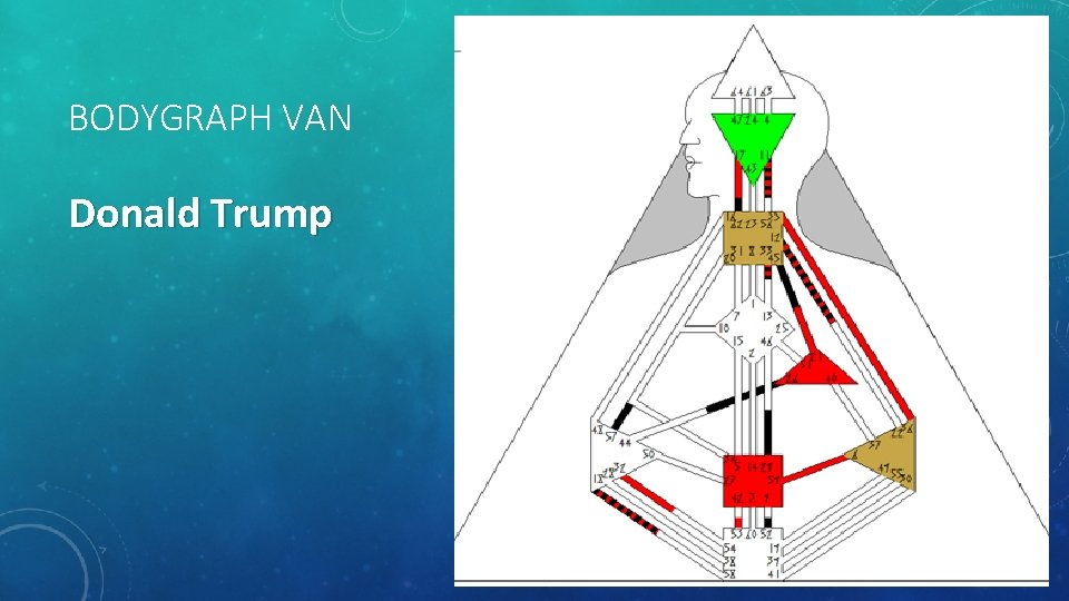BODYGRAPH VAN Donald Trump 