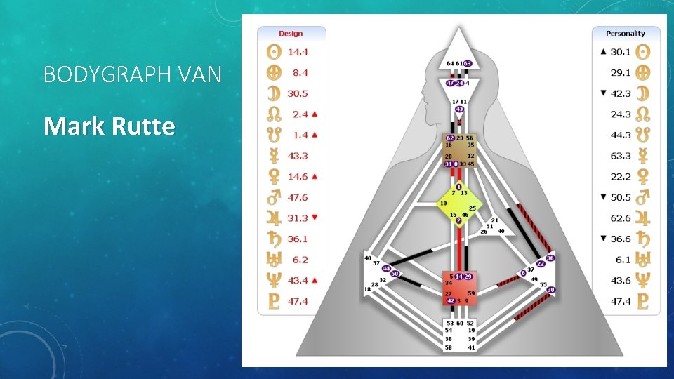 BODYGRAPH VAN Mark Rutte 
