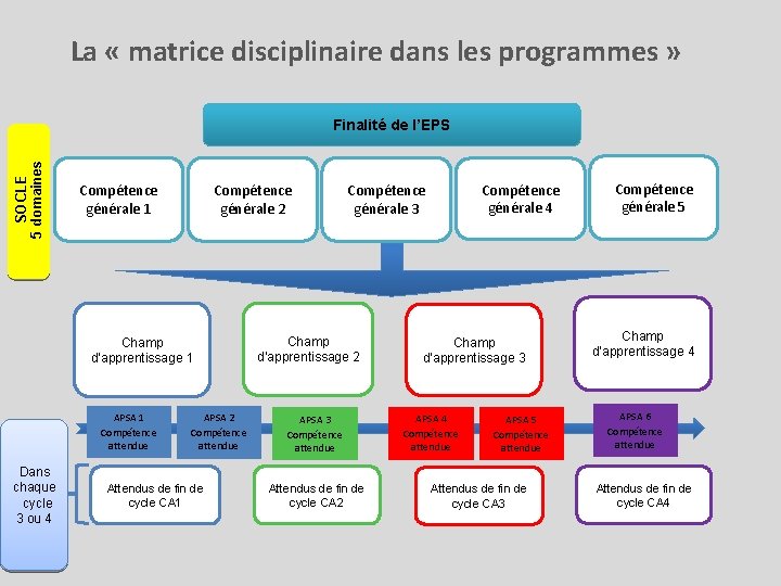  La « matrice disciplinaire dans les programmes » SOCLE 5 domaines Finalité de