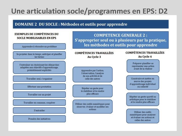 Une articulation socle/programmes en EPS: D 2 