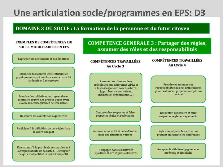 Une articulation socle/programmes en EPS: D 3 