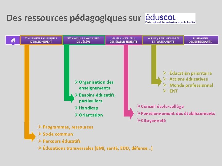 Des ressources pédagogiques sur Ø Organisation des enseignements Ø Besoins éducatifs particuliers Ø Handicap