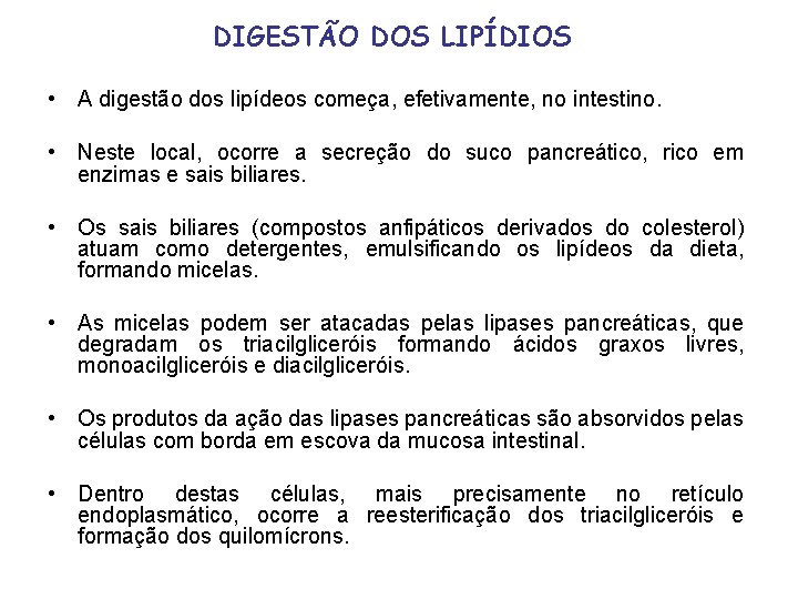 DIGESTÃO DOS LIPÍDIOS • A digestão dos lipídeos começa, efetivamente, no intestino. • Neste