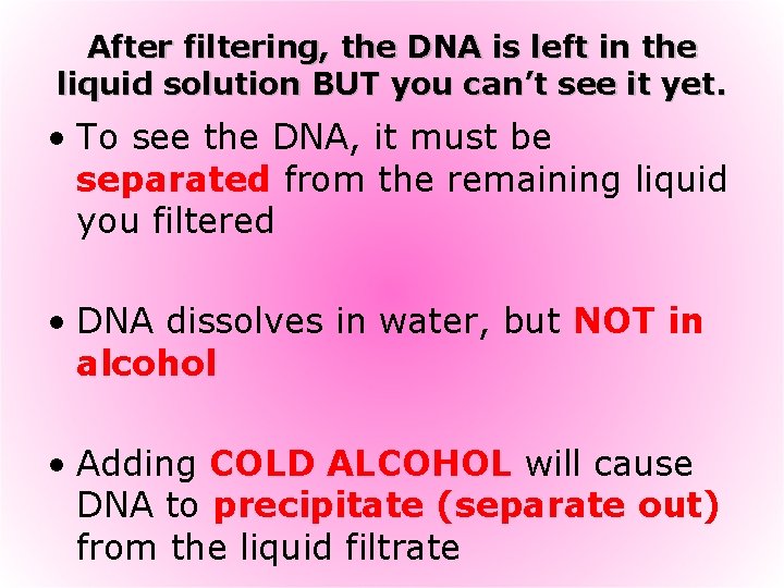 After filtering, the DNA is left in the liquid solution BUT you can’t see