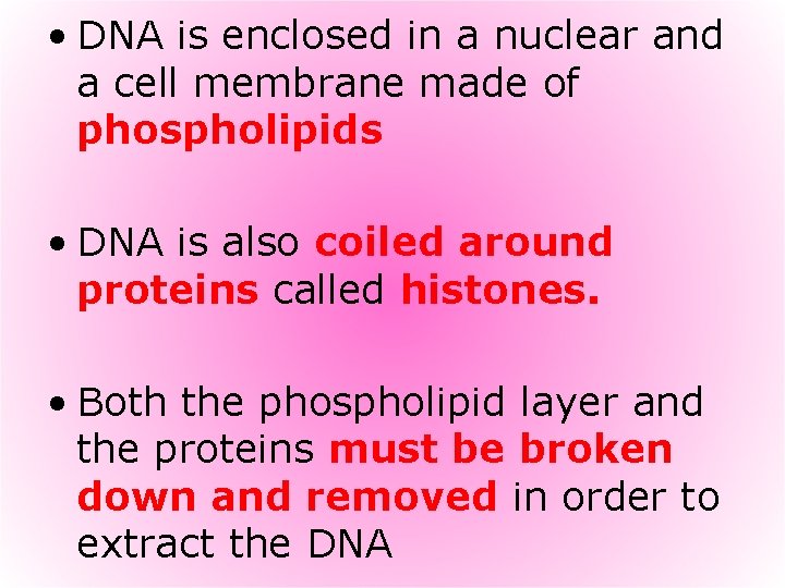  • DNA is enclosed in a nuclear and a cell membrane made of