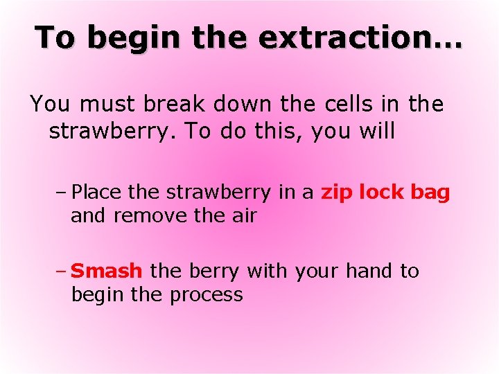 To begin the extraction… You must break down the cells in the strawberry. To