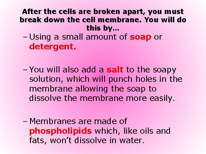 After the cells are broken apart, you must break down the cell membrane. You