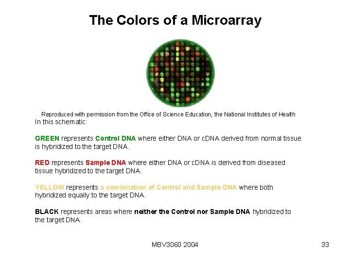 The Colors of a Microarray . Reproduced with permission from the Office of Science