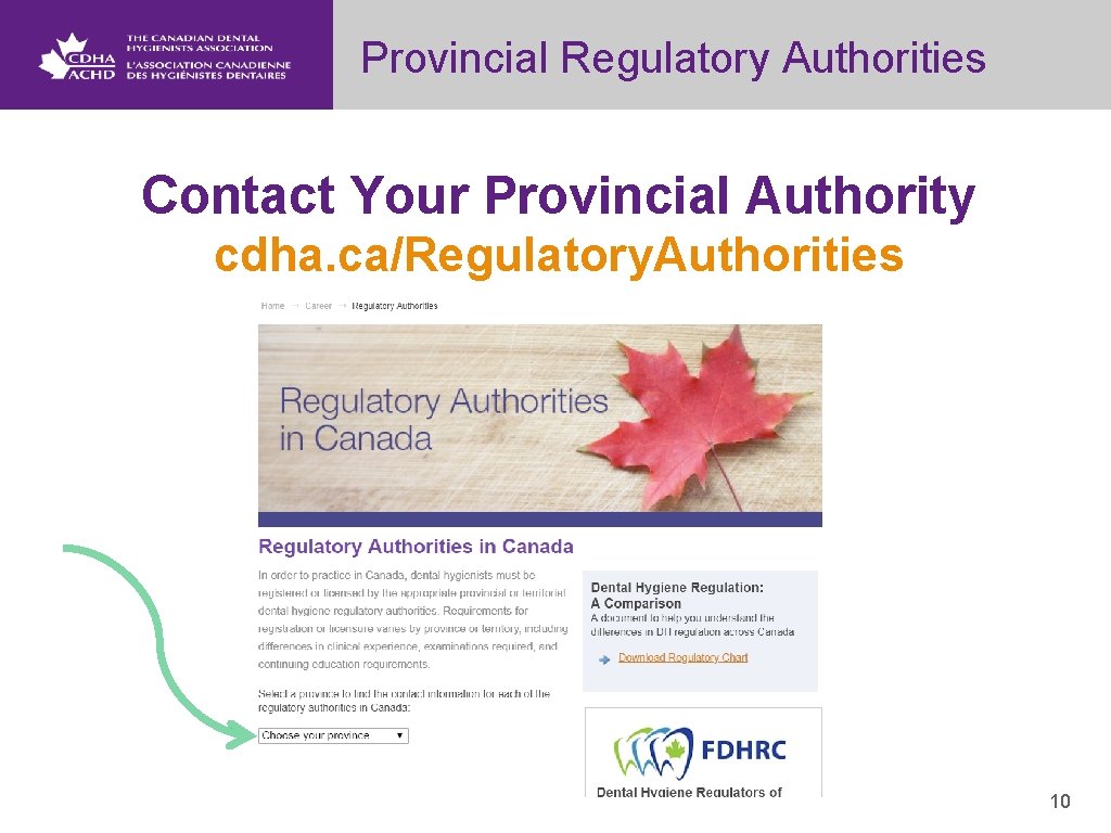 Provincial Regulatory Authorities Contact Your Provincial Authority cdha. ca/Regulatory. Authorities 10 