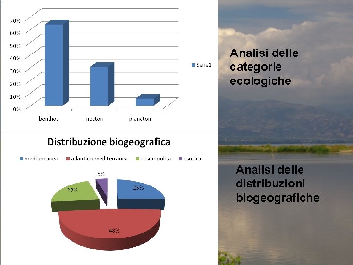 Analisi delle categorie ecologiche Analisi delle distribuzioni biogeografiche 