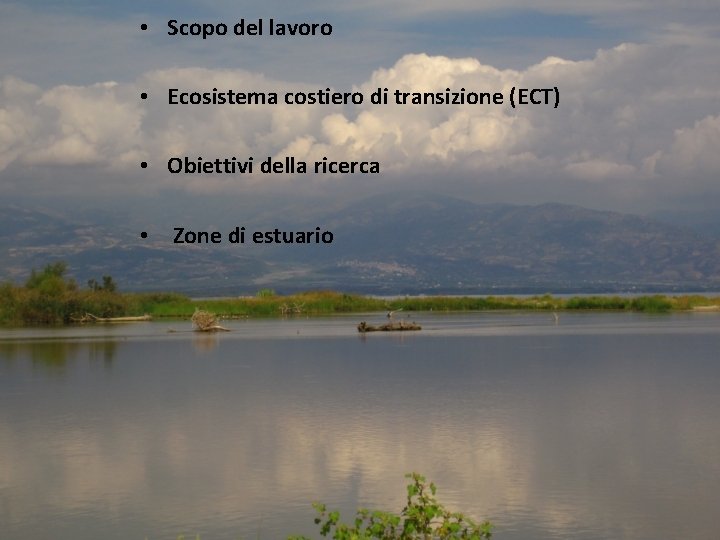  • Scopo del lavoro • Ecosistema costiero di transizione (ECT) • Obiettivi della