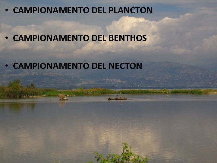  • CAMPIONAMENTO DEL PLANCTON • CAMPIONAMENTO DEL BENTHOS • CAMPIONAMENTO DEL NECTON 