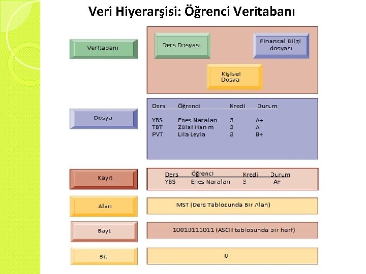 Veri Hiyerarşisi: Öğrenci Veritabanı 