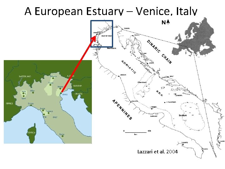 A European Estuary – Venice, Italy Lazzari et al. 2004 