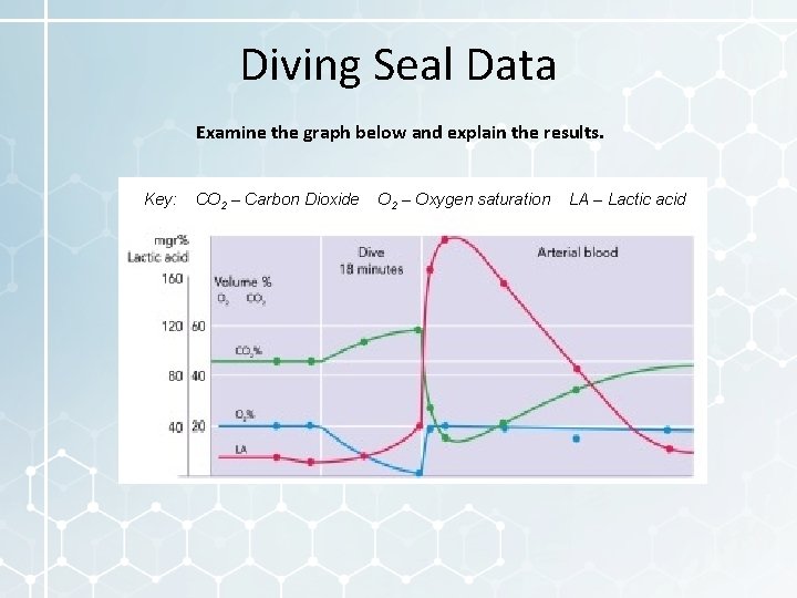 Diving Seal Data Examine the graph below and explain the results. Key: CO 2