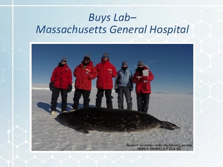 Buys Lab– Massachusetts General Hospital 