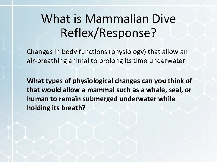 What is Mammalian Dive Reflex/Response? Changes in body functions (physiology) that allow an air-breathing