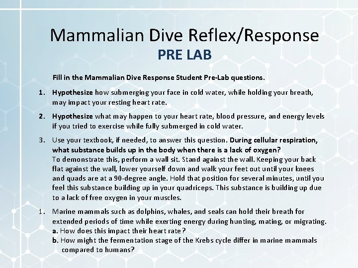 Mammalian Dive Reflex/Response PRE LAB Fill in the Mammalian Dive Response Student Pre-Lab questions.
