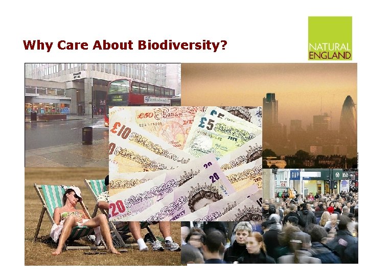 Why Care About Biodiversity? 