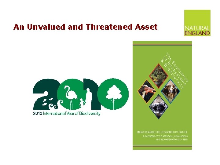 An Unvalued and Threatened Asset 