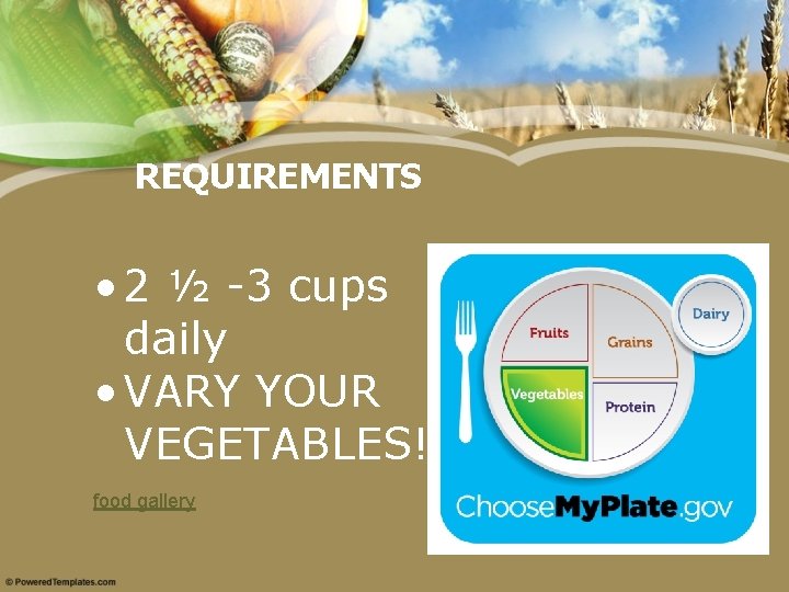 REQUIREMENTS • 2 ½ -3 cups daily • VARY YOUR VEGETABLES! food gallery 