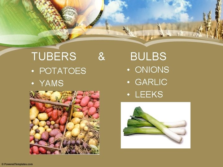 TUBERS • POTATOES • YAMS & BULBS • ONIONS • GARLIC • LEEKS 