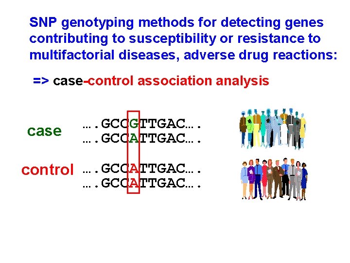 SNP genotyping methods for detecting genes contributing to susceptibility or resistance to multifactorial diseases,