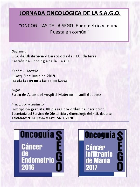 JORNADA ONCOLÓGICA DE LA S. A. G. O. “ONCOGUÍAS DE LA SEGO. Endometrio y