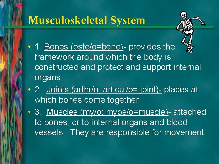 Musculoskeletal System • 1. Bones (oste/o=bone)- provides the framework around which the body is