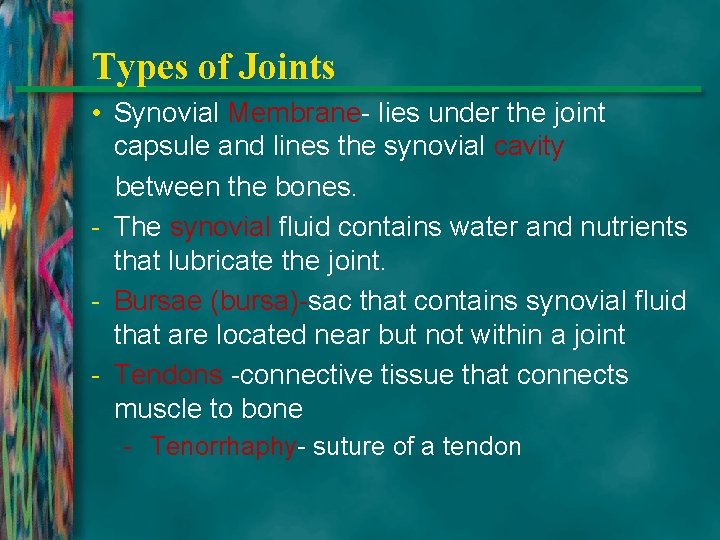 Types of Joints • Synovial Membrane- lies under the joint capsule and lines the