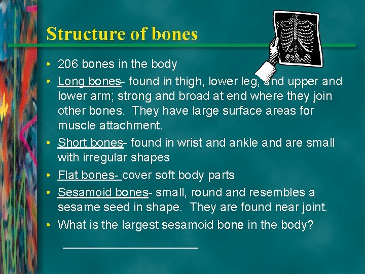 Structure of bones • 206 bones in the body • Long bones- found in