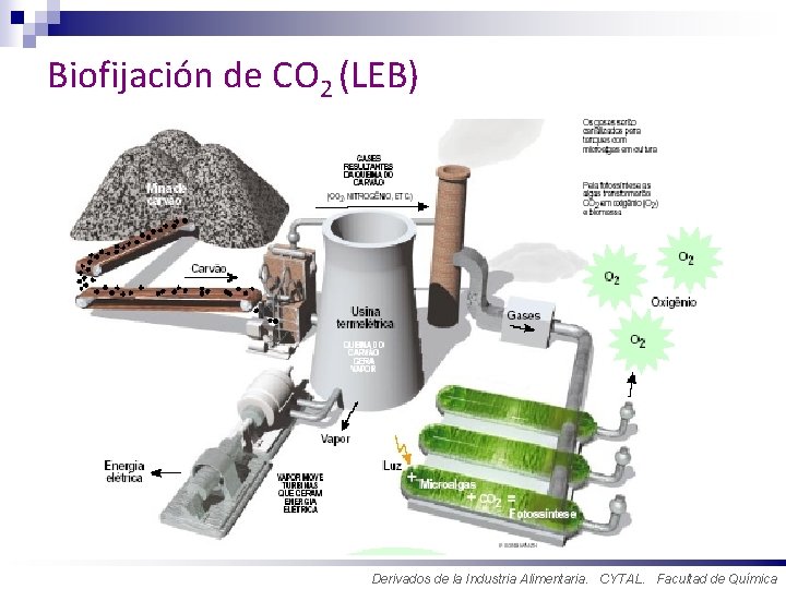 Universidade Federal do Rio Grande Biofijación de CO 2 (LEB) Derivados de la Industria