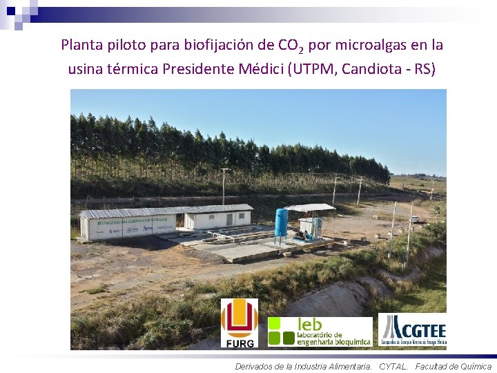 Universidade Federal dodo Rio Grande Planta piloto para biofijación de CO 2 por microalgas