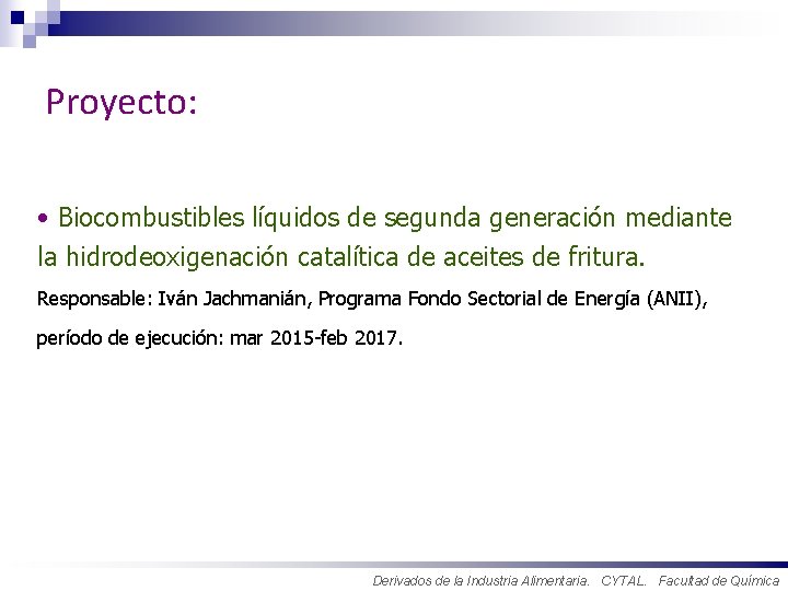 Proyecto: • Biocombustibles líquidos de segunda generación mediante la hidrodeoxigenación catalítica de aceites de