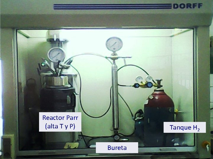 Reactor Parr (alta T y P) Tanque H 2 Bureta Derivados de la Industria