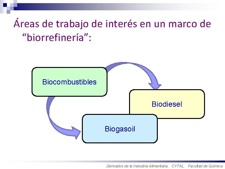 Áreas de trabajo de interés en un marco de “biorrefinería”: Biocombustibles Biodiesel Biogasoil Derivados